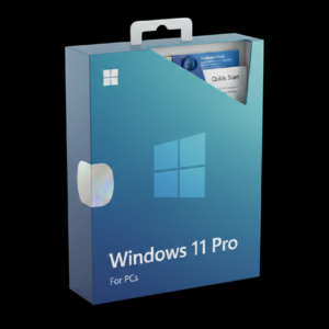 Windows 11 Professional